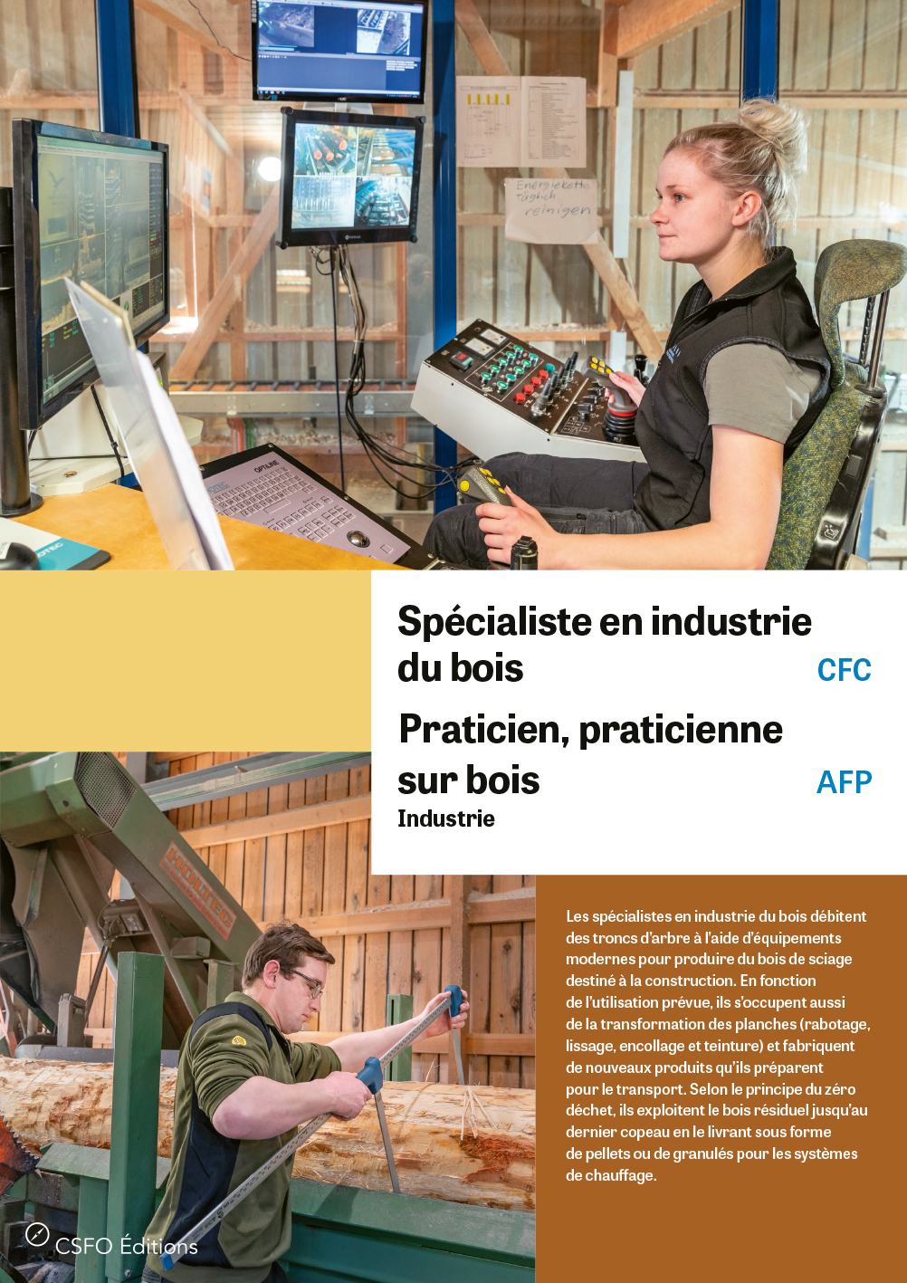 Spécialiste en industrie du bois, Praticien/ne sur bois