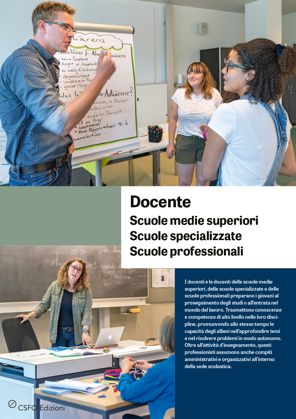 Docente - Scuole medie superiori, specializzate, professionali