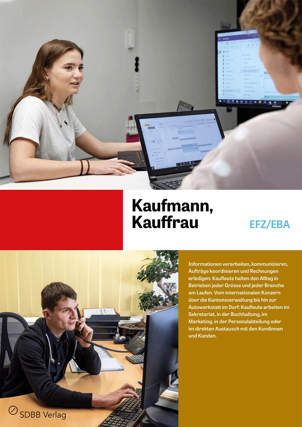 Kaufmann/-frau EFZ, Kaufmann/-frau EBA