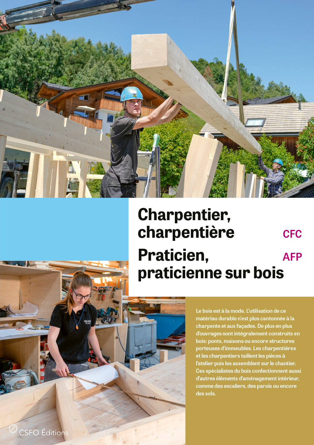 Charpentier/ère, Praticien/ne sur bois