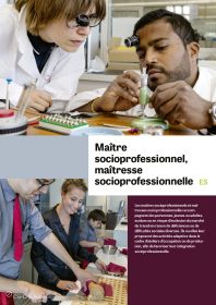 Maître/esse socioprofessionnel/le