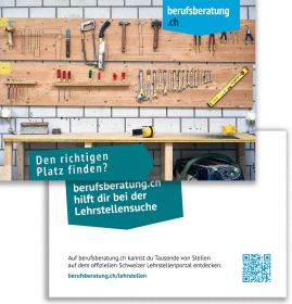 Flyer berufsberatung.ch Lehrstellensuche (Bund à 100 Stk.)