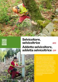 Selvicoltore/trice AFC, Addetto/a selvicoltore/trice CFP