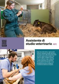 Assistente di studio veterinario