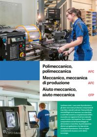 Polimeccanico/a AFC, Meccanico/a di produzione AFC, Aiuto meccanico/a CFP