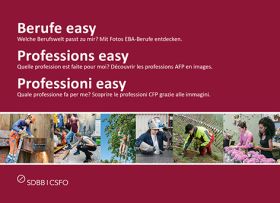 Professions easy (set de base)