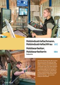 Holzindustriefachmann/-fachfrau EFZ, Holzbearbeiter/in EBA