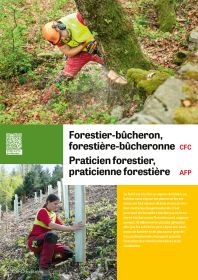 Forestier/ère-bûcheron/ne, Praticien/ne forestier/ère