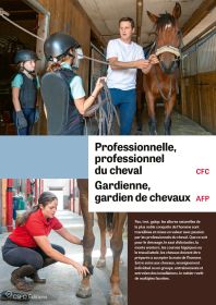 Professionnel/le du cheval, Gardien/ne de chevaux